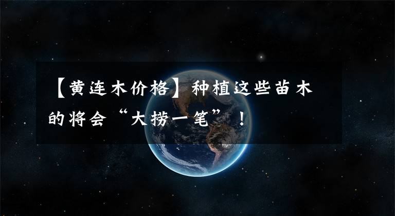 【黄连木价格】种植这些苗木的将会“大捞一笔”!