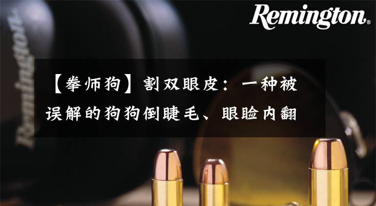 【拳师狗】割双眼皮：一种被误解的狗狗倒睫毛、眼睑内翻、外翻的治疗方式