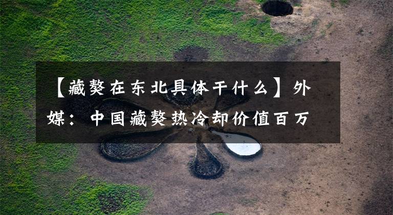 【藏獒在东北具体干什么】外媒：中国藏獒热冷却价值百万藏獒火锅材料。