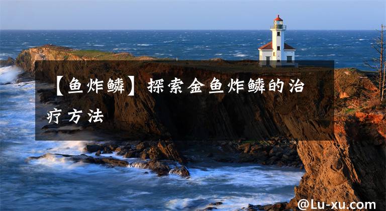 【鱼炸鳞】探索金鱼炸鳞的治疗方法