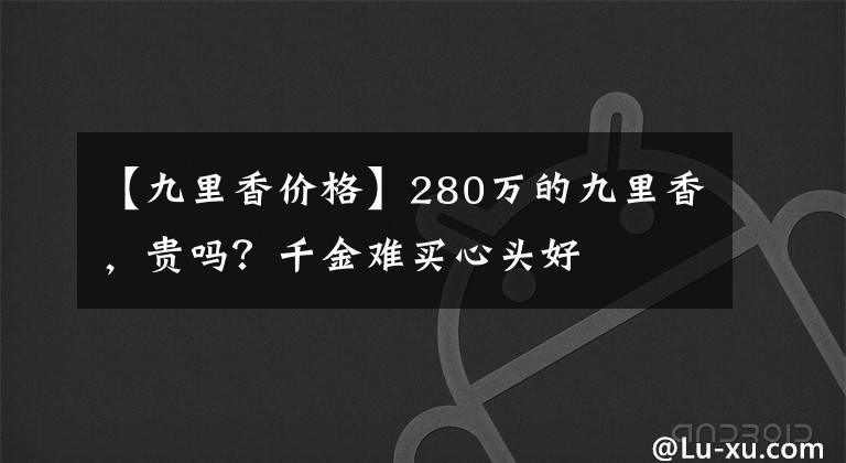【九里香价格】280万的九里香,贵吗?千金难买心头好