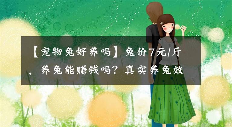 【宠物兔好养吗】兔价7元/斤，养兔能赚钱吗？真实养兔效益分析