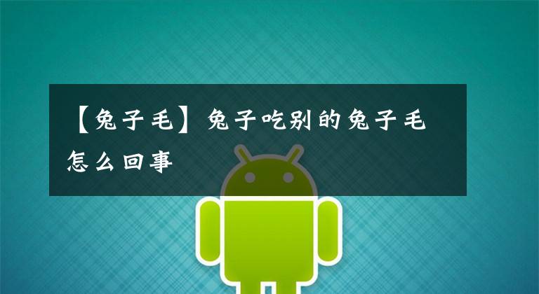 【兔子毛】兔子吃别的兔子毛怎么回事