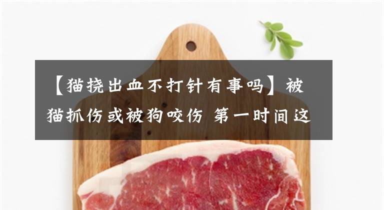【猫挠出血不打针有事吗】被猫抓伤或被狗咬伤 第一时间这样做才是最要紧的