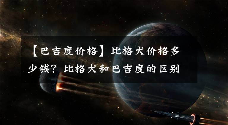 【巴吉度价格】比格犬价格多少钱?比格犬和巴吉度的区别?