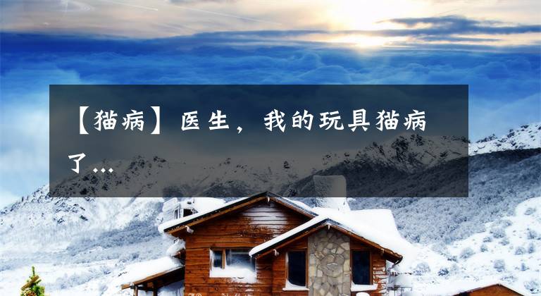 【猫病】医生,我的玩具猫病了...