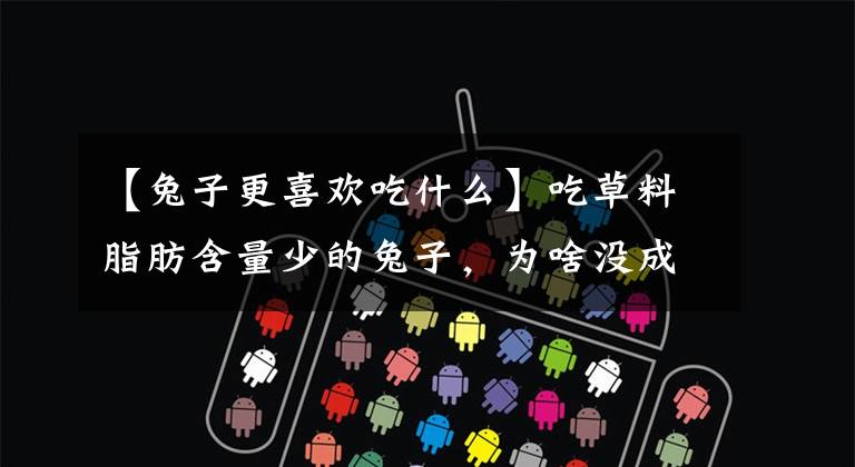 【兔子更喜欢吃什么】吃草料脂肪含量少的兔子，为啥没成为主要肉食呢？原因有这3方面