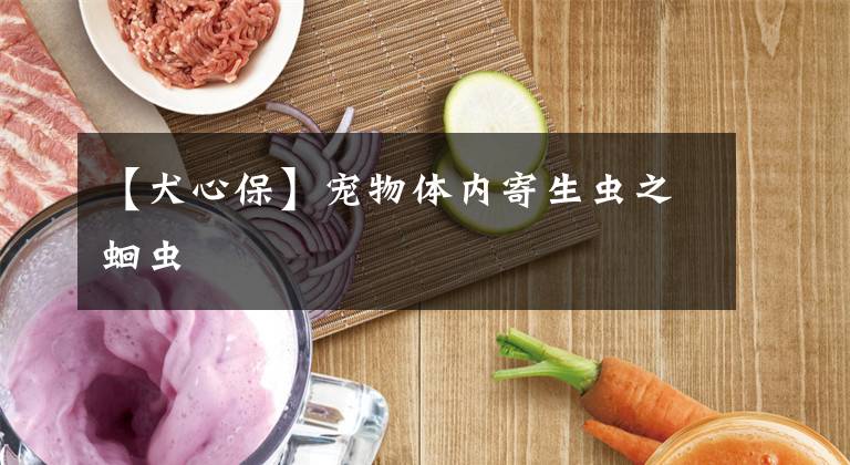 【犬心保】宠物体内寄生虫之蛔虫