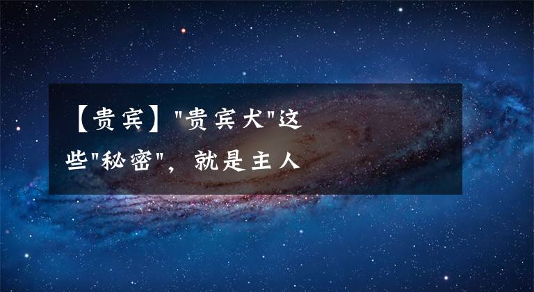 【贵宾】"贵宾犬"这些"秘密"，就是主人都可能没听过，你知道吗