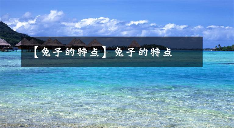 【兔子的特点】兔子的特点