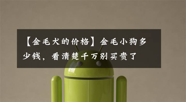 【金毛犬的价格】金毛小狗多少钱,看清楚千万别买贵了
