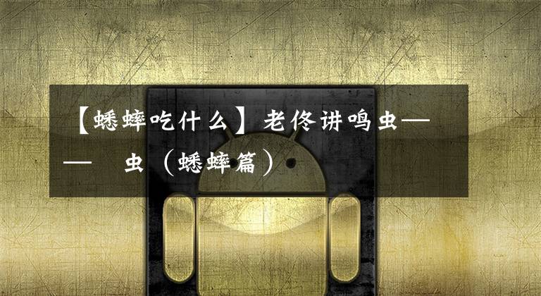 【蟋蟀吃什么】老佟讲鸣虫——蚡虫(蟋蟀篇)
