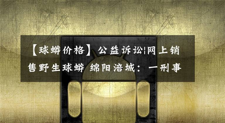 【球蟒价格】公益诉讼|网上销售野生球蟒 绵阳涪城：一刑事附带民事公益诉讼案开庭