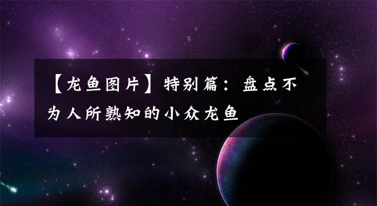 【龙鱼图片】特别篇：盘点不为人所熟知的小众龙鱼