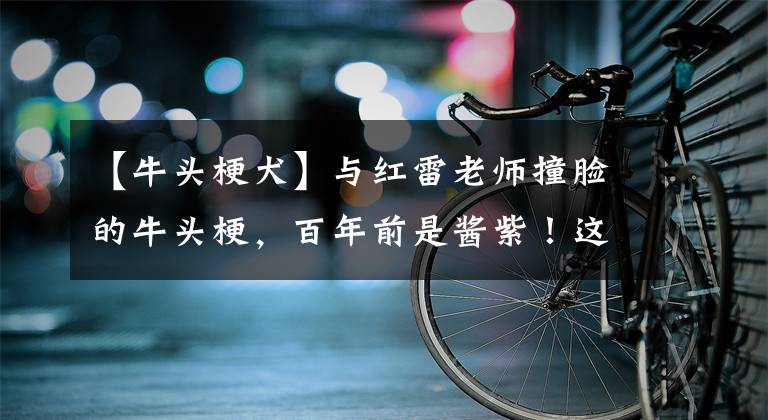 【牛头梗犬】与红雷老师撞脸的牛头梗，百年前是酱紫！这些狗狗也发生惊人变化