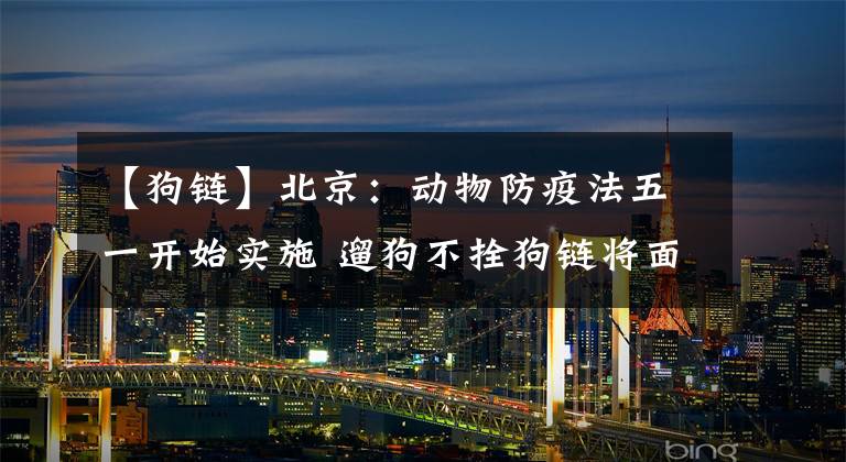 【狗链】北京:动物防疫法五一开始实施 遛狗不拴狗链将面临处罚
