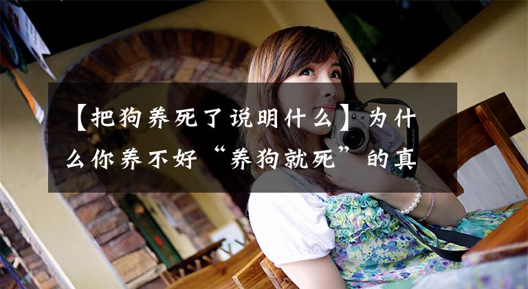 【把狗养死了说明什么】为什么你养不好“养狗就死”的真相？