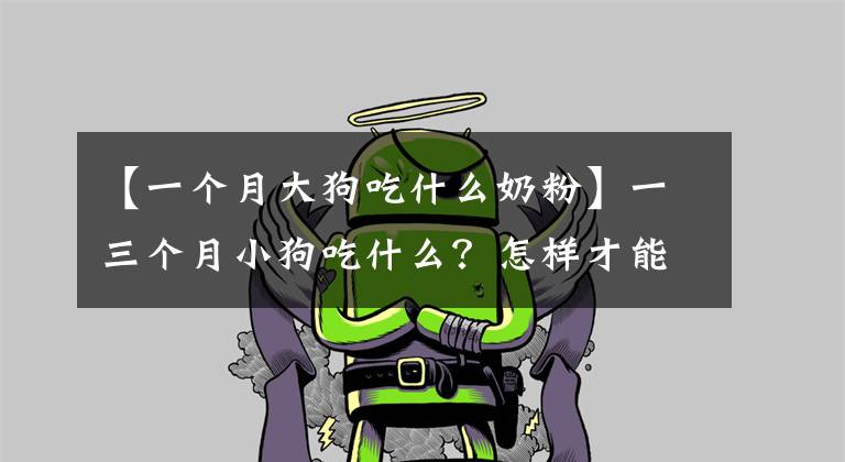 【一个月大狗吃什么奶粉】一三个月小狗吃什么？怎样才能帮助狗茁壮成长？幼犬喂养小贴士