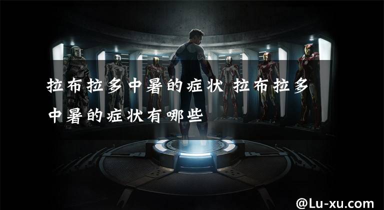 拉布拉多中暑的症状 拉布拉多中暑的症状有哪些