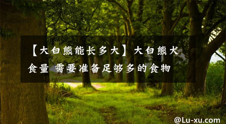 【大白熊能长多大】大白熊犬食量 需要准备足够多的食物