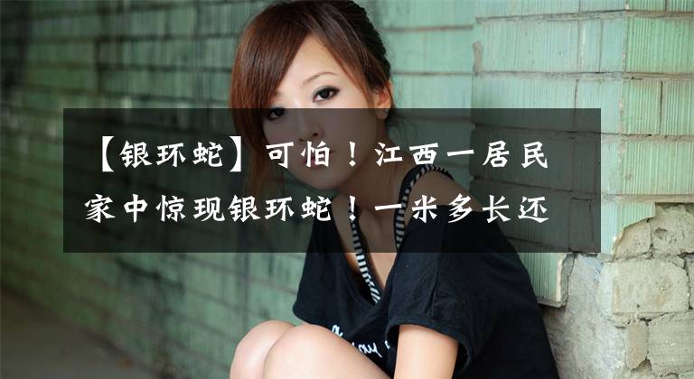 【银环蛇】可怕！江西一居民家中惊现银环蛇！一米多长还不断吐着信子……