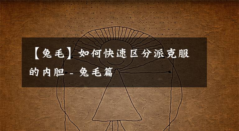 【兔毛】如何快速区分派克服的内胆 - 兔毛篇