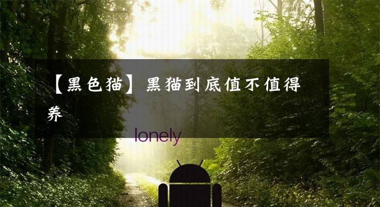 【黑色猫】黑猫到底值不值得养