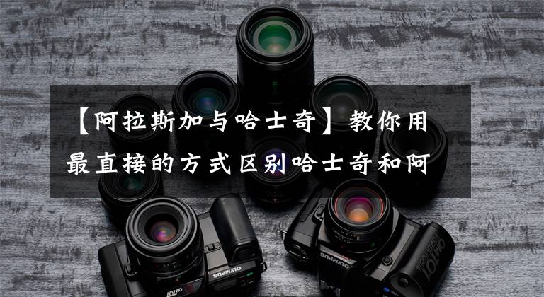 【阿拉斯加与哈士奇】教你用最直接的方式区别哈士奇和阿拉斯加，一般人我都不告诉