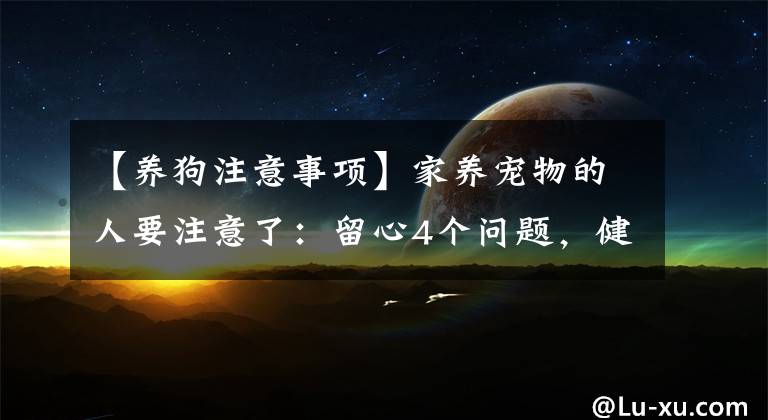 【养狗注意事项】家养宠物的人要注意了:留心4个问题,健康不被“打扰”