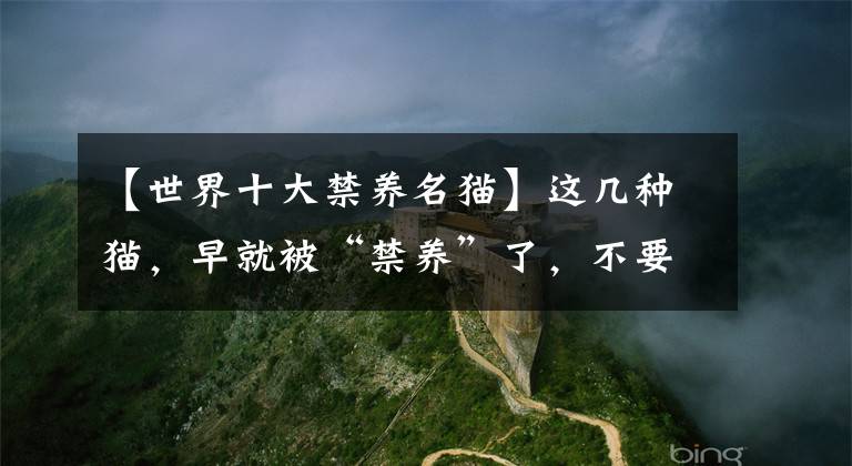 【世界十大禁养名猫】这几种猫，早就被“禁养”了，不要傻傻掏钱买了