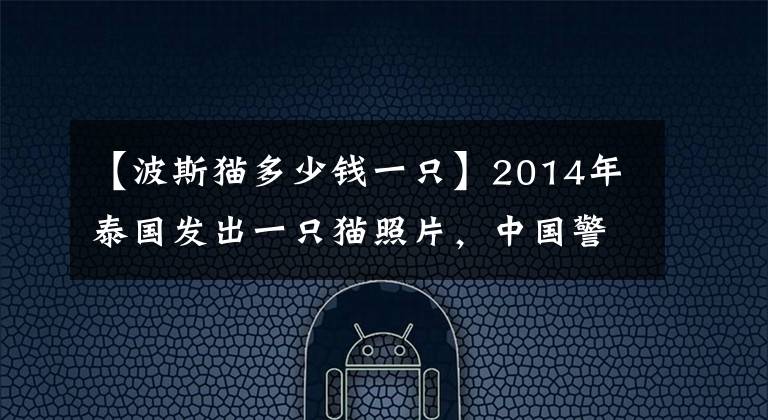 【波斯猫多少钱一只】2014年泰国发出一只猫照片,中国警方顺藤摸瓜,从境外抓获嫌疑人