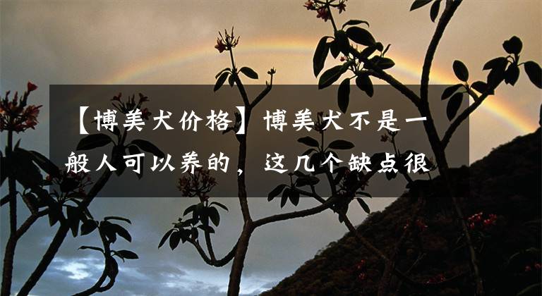 【博美犬价格】博美犬不是一般人可以养的,这几个缺点很“致命”