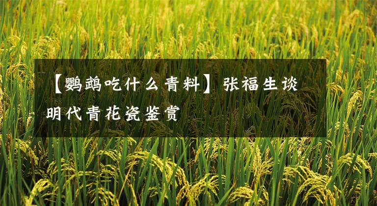 【鹦鹉吃什么青料】张福生谈明代青花瓷鉴赏