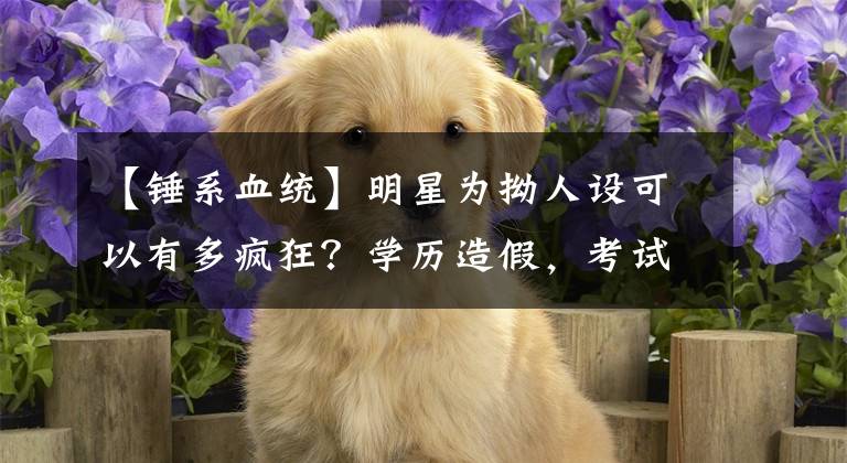 【锤系血统】明星为拗人设可以有多疯狂？学历造假，考试作弊，连血统也能编？