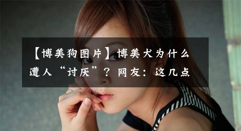 【博美狗图片】博美犬为什么遭人“讨厌”？网友：这几点接受不了
