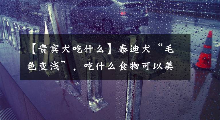 【贵宾犬吃什么】泰迪犬“毛色变浅”,吃什么食物可以美毛?这八种食物效果杠杠的