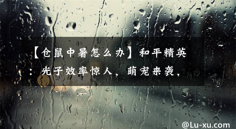 【仓鼠中暑怎么办】和平精英：光子效率惊人，萌宠来袭，这么可爱的小仓鼠你喜欢么