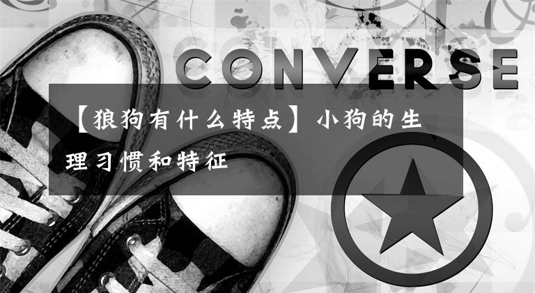 【狼狗有什么特点】小狗的生理习惯和特征
