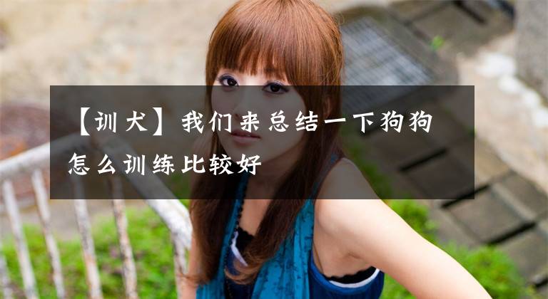 【训犬】我们来总结一下狗狗怎么训练比较好