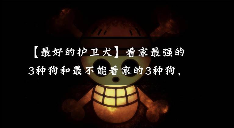 【最好的护卫犬】看家最强的3种狗和最不能看家的3种狗，你养对了吗？