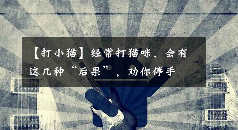 【打小猫】经常打猫咪,会有这几种“后果”,劝你停手