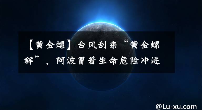 【黄金螺】台风刮来“黄金螺群”，阿波冒着生命危险冲进巨浪，比捡钱还刺激