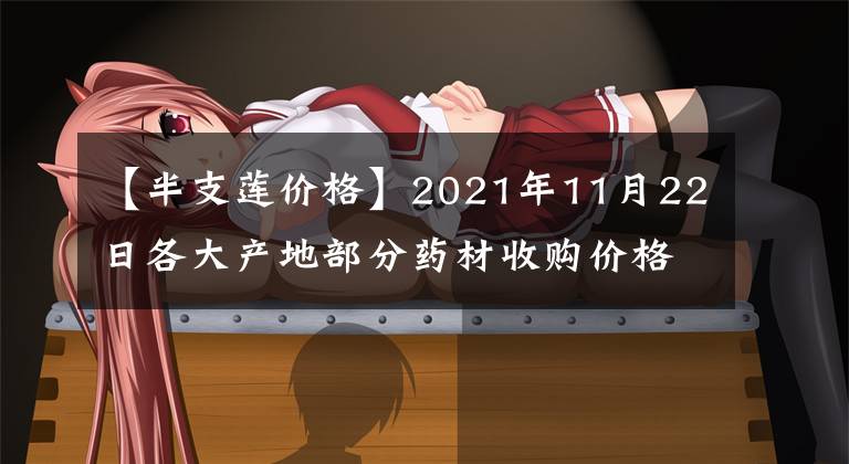 【半支莲价格】2021年11月22日各大产地部分药材收购价格行情