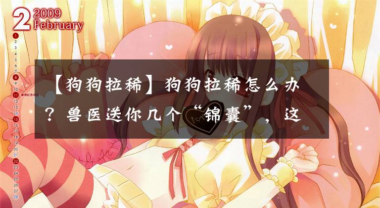 【狗狗拉稀】狗狗拉稀怎么办?兽医送你几个“锦囊”,这样治没毛病