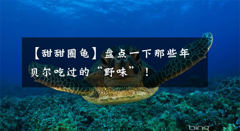 【甜甜圈龟】盘点一下那些年贝尔吃过的“野味”！