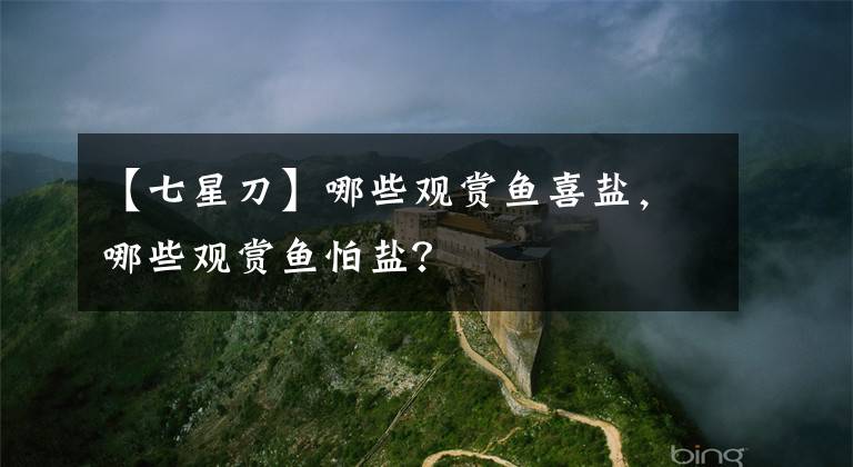【七星刀】哪些观赏鱼喜盐，哪些观赏鱼怕盐？