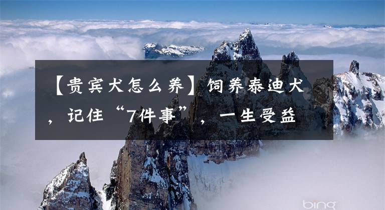 【贵宾犬怎么养】饲养泰迪犬，记住“7件事”，一生受益
