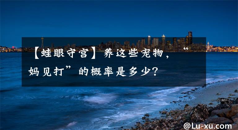 【蛙眼守宫】养这些宠物，“妈见打”的概率是多少？