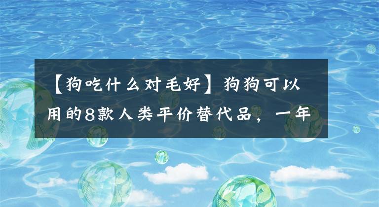 【狗吃什么对毛好】狗狗可以用的8款人类平价替代品，一年省下数千元