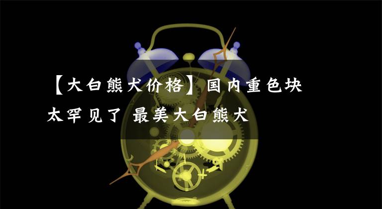 【大白熊犬价格】国内重色块太罕见了 最美大白熊犬